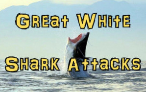 Great White Shark Attack