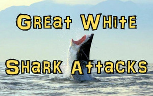 Great White Shark Attacks! (Epic Journey Africa)
