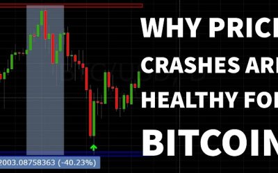 Why Price Crashes Are Healthy For Bitcoin